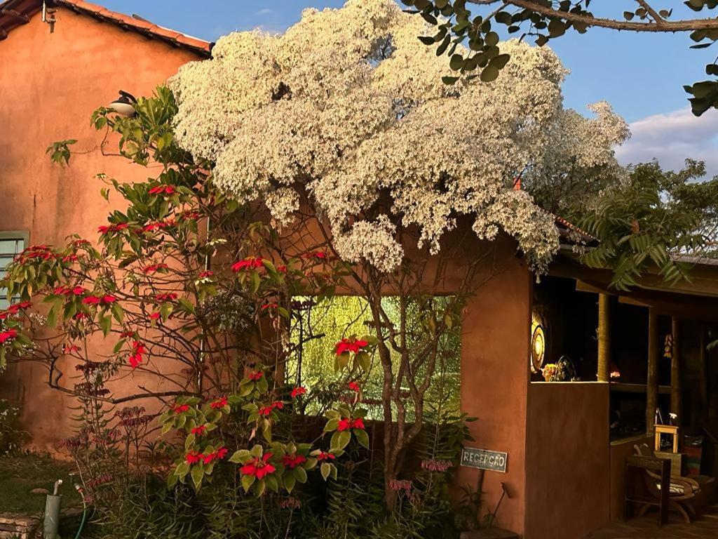 Pousada Refugio Da Serra Pirenópolis 外观 照片